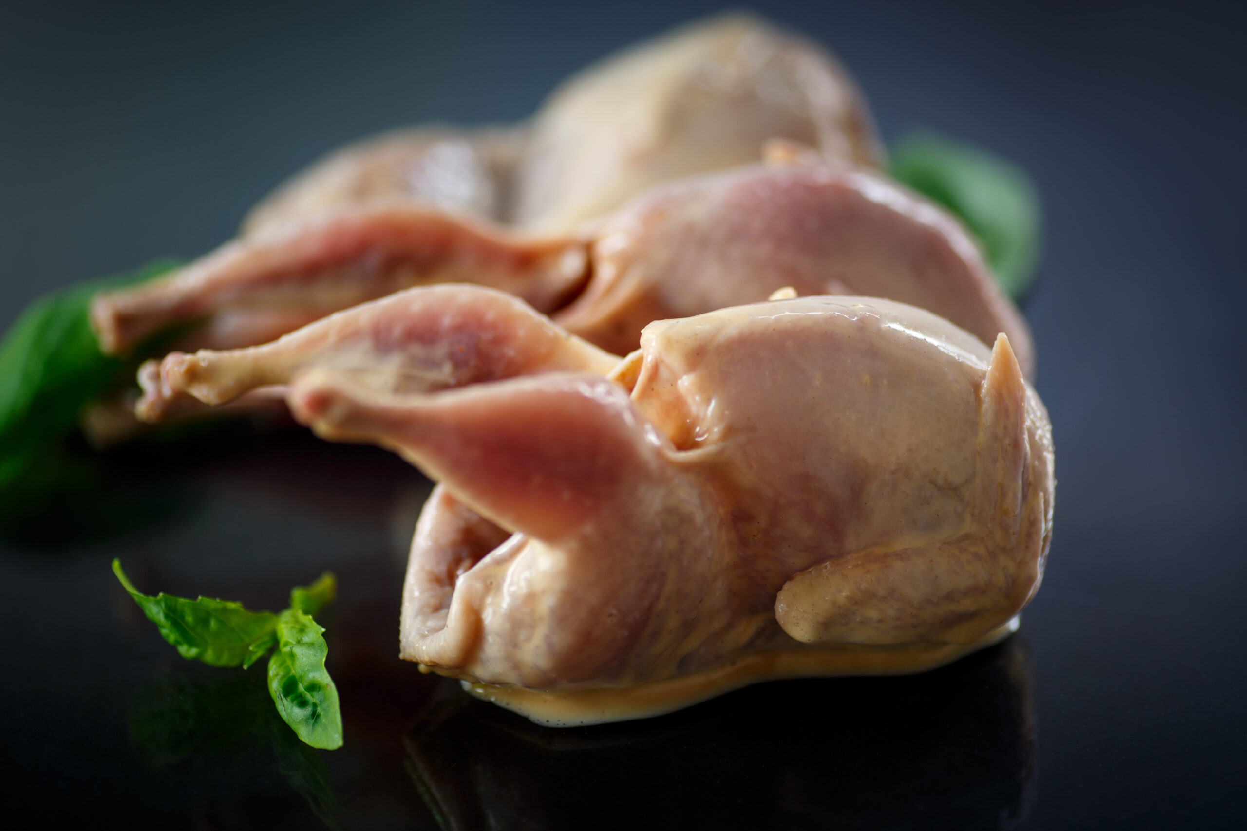 POULTRY CARCASSES